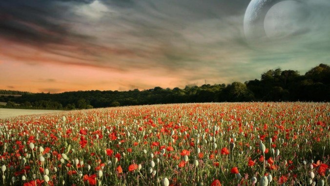 你怎么评价日本某个前空姐说：&ldquo;如果我在经济舱，年薪2000万日元以下的乘客没有资格给我递名片&rdquo;？